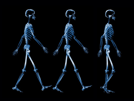 392878 (a): :1600x1200